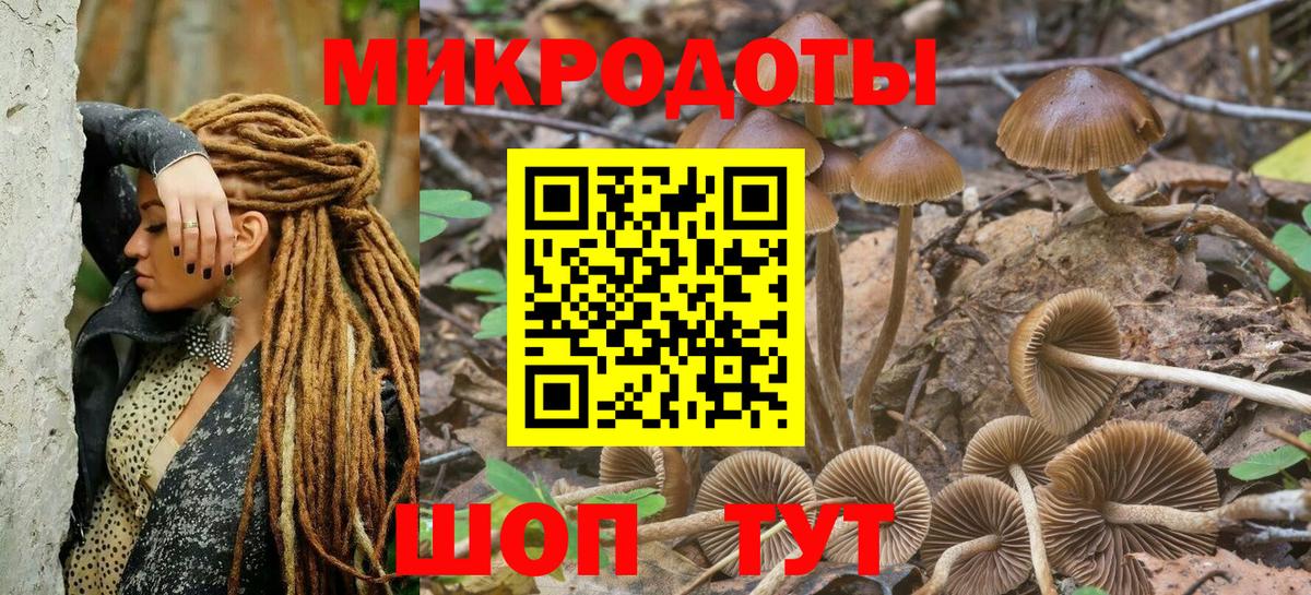 Псилоцибиновые грибы мухоморы Шарыпово